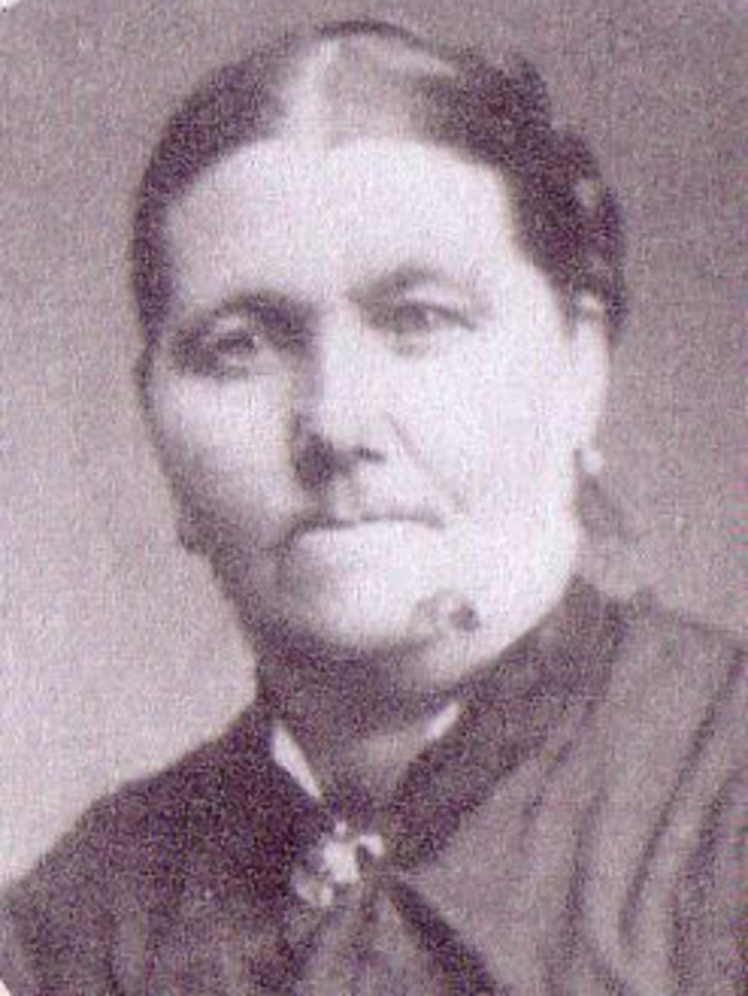 Anna Caisa Anderson Johnson (1831 - 1893) Profile